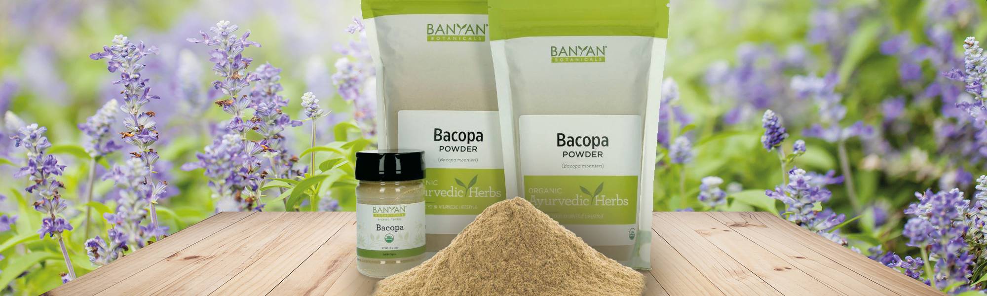 Banyan Botanicals Bacopa Powder