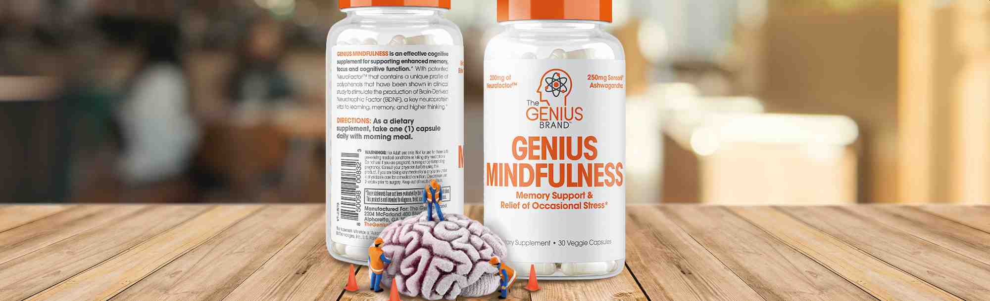 Genius Mindfulness Review